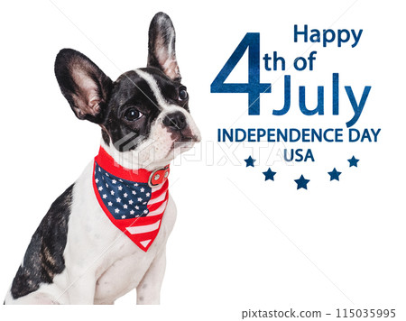 Happy Independence Day. American Flag and cute puppy 115035995