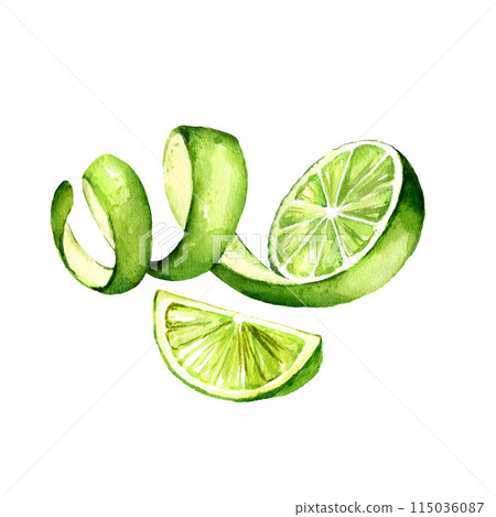 watercolor lime with peeled skin and slice, hand drawn illustration of half a fresh green lime with peel and half of lime, sketch of summer fruit for cocktail, refreshing drinks and tequila 115036087