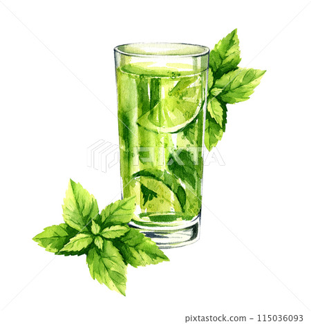 watercolor glass of mojito cocktail with fresh leaves of mint, summer composition of refreshing drink, illustration, hand drawn sketch of cold beverage isolated white background, for bar menu watercolor glass of mojito cocktail with fresh leaves of mint, summer composition of refreshing drink, illustration, hand drawn sketch of cold beverage isolated white background, for bar menu 115036093
