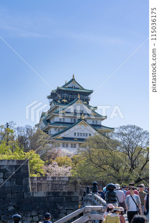 [櫻花]春天的大阪城公園[大阪城天守閣] 115036175