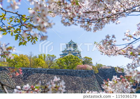 [Cherry Blossoms] Osaka Castle Park in Spring [Osaka Castle Tower] 115036179