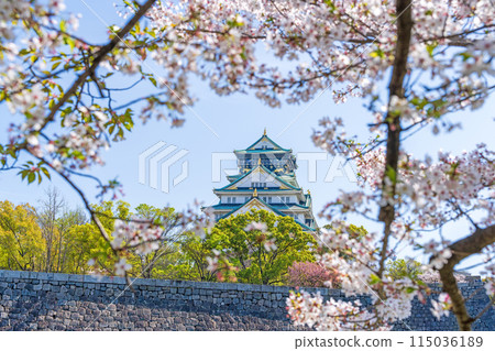 [Cherry Blossoms] Osaka Castle Park in Spring [Osaka Castle Tower] 115036189