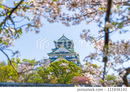 [Cherry Blossoms] Osaka Castle Park in Spring [Osaka Castle Tower] 115036192