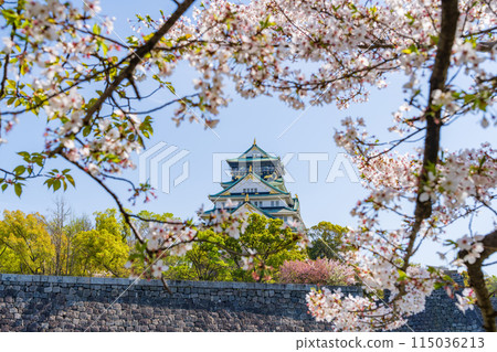 [櫻花]春天的大阪城公園[大阪城天守閣] 115036213