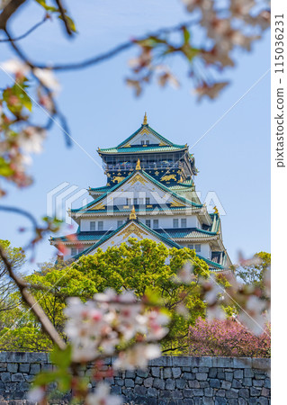 [Cherry Blossoms] Osaka Castle Park in Spring [Osaka Castle Tower] 115036231