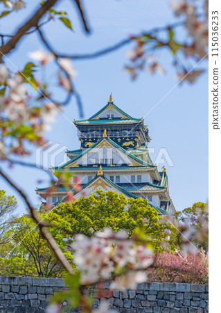 [Cherry Blossoms] Osaka Castle Park in Spring [Osaka Castle Tower] 115036233