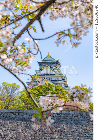 [Cherry Blossoms] Osaka Castle Park in Spring [Osaka Castle Tower] 115036240