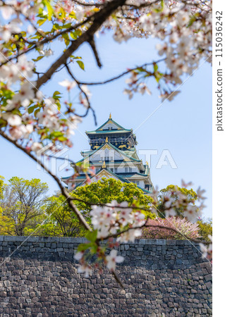 [Cherry Blossoms] Osaka Castle Park in Spring [Osaka Castle Tower] 115036242