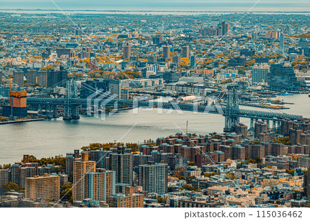 紐約的一座摩天大樓 115036462