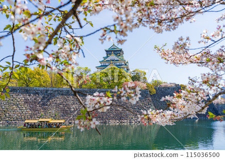 【春天的大阪城公園】大阪城天守閣和駁船【櫻花】 115036500