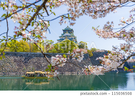 【春天的大阪城公園】大阪城天守閣和駁船【櫻花】 【春天的大阪城公園】大阪城天守閣和駁船【櫻花】 115036508