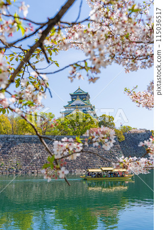 [Osaka Castle Park in Spring] Osaka Castle Tower and Royal Boat [Cherry Blossoms] 115036517