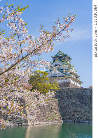[Osaka Castle Park in Spring] Osaka Castle Tower and Cherry Blossoms 115036664