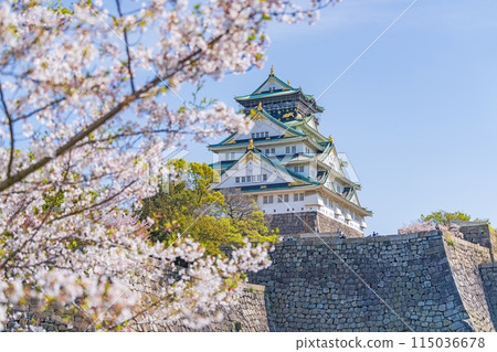 【春天的大阪城公園】大阪城天守閣和櫻花 115036678