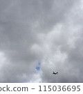 airplane  115036695