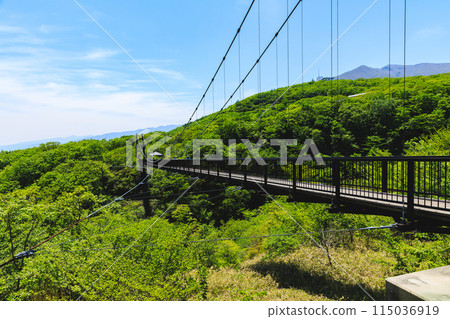 杜鵑花吊橋(栃木縣那鬚町) 杜鵑花吊橋(栃木縣那鬚町) 115036919