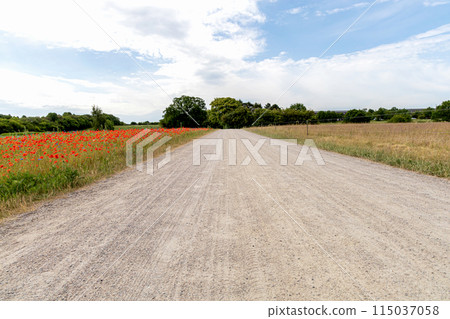 Road in the countryside and cloudy sky on a summer day. Road in the countryside and cloudy sky on a summer day. 115037058