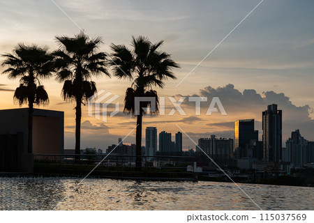 Silhouette view of Skyscraper and Sugar palm trees with Background of Dramatic sky during stunning before sunset. 115037569