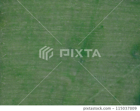 Green lawn grass background 115037809