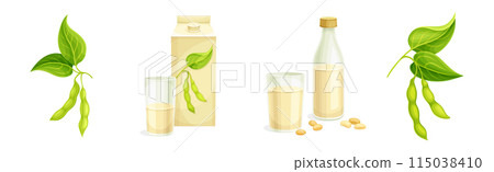 Soya Product from Edible Legume Plant Vector Set 115038410