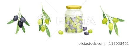 Olives with Glass Jar and Branch Vector Set 115038461