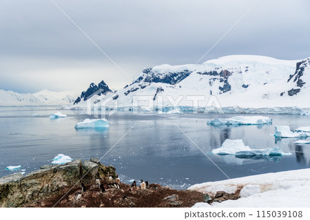 Landscape of the Antarctic Peninsula 115039108