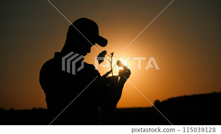 Back view: Silhouette of an agronomist holding in his hands a pot with a plant for planting Back view: Silhouette of an agronomist holding in his hands a pot with a plant for planting 115039128