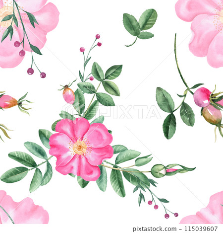 Dog rose Floral Watercolor seamless pattern. Hand drawn botanical illustration. Rose hip flowers, buds, branches and berries. Can be used for fabric, textile, packaging prints, wallpaper design. Dog rose Floral Watercolor seamless pattern. Hand drawn botanical illustration. Rose hip flowers, buds, branches and berries. Can be used for fabric, textile, packaging prints, wallpaper design. 115039607