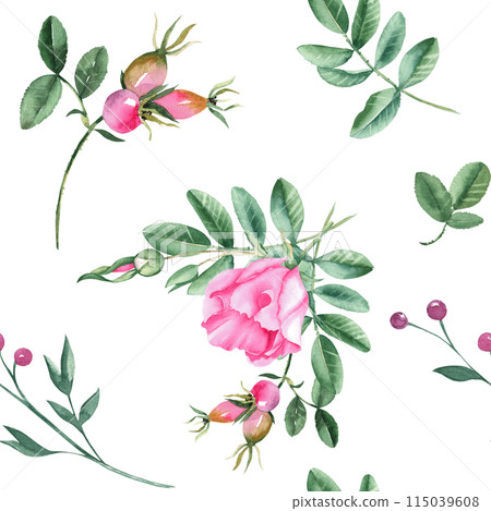 Dog rose Floral Watercolor seamless pattern. Hand drawn botanical illustration. Rose hip flowers, buds, branches and berries. Can be used for fabric, textile, packaging prints, wallpaper design. Dog rose Floral Watercolor seamless pattern. Hand drawn botanical illustration. Rose hip flowers, buds, branches and berries. Can be used for fabric, textile, packaging prints, wallpaper design. 115039608
