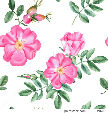 Dog rose Floral Watercolor seamless pattern. Hand drawn botanical illustration. Rose hip flowers, buds, branches and berries. Can be used for fabric, textile, packaging prints, wallpaper design. Dog rose Floral Watercolor seamless pattern. Hand drawn botanical illustration. Rose hip flowers, buds, branches and berries. Can be used for fabric, textile, packaging prints, wallpaper design. 115039609