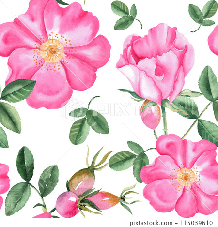 Dog rose Floral Watercolor seamless pattern. Hand drawn botanical illustration. Rose hip flowers, buds, branches and berries. Can be used for fabric, textile, packaging prints, wallpaper design. Dog rose Floral Watercolor seamless pattern. Hand drawn botanical illustration. Rose hip flowers, buds, branches and berries. Can be used for fabric, textile, packaging prints, wallpaper design. 115039610