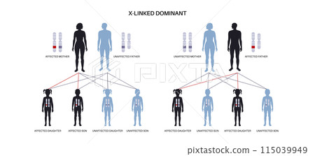 Dominant inheritance pattern 115039949