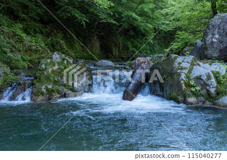 Mountain stream surrounded by fresh greenery Mountain stream surrounded by fresh greenery 115040277