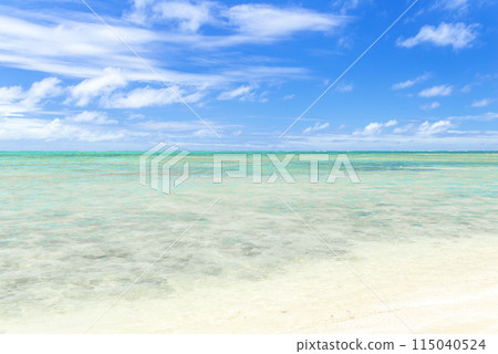 夏威夷美麗的海洋和海灘 115040524