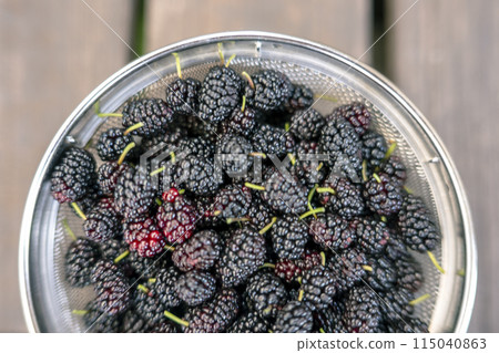 Mulberry Mulberry 115040863