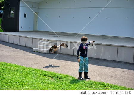 Sapporo Maruyama Zoo: Free flight of birds of prey 115041138