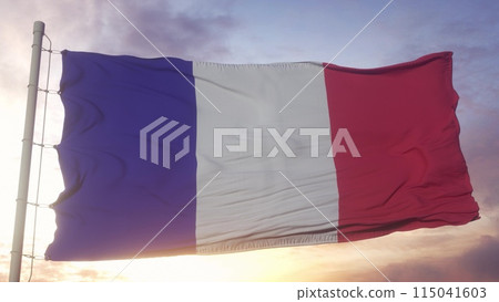 The national flag of France blowing in the wind against a blue sky. 3d illustration 115041603