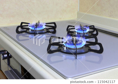 Gas range (gas stove) Gas range (gas stove) 115042117