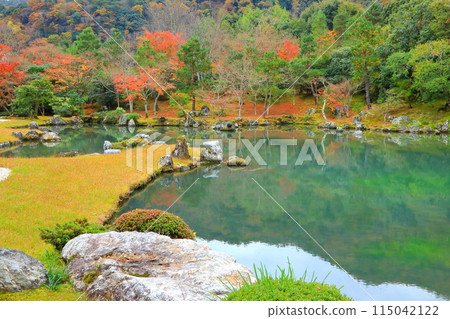 秋天的天龍寺(京都市) 秋天的天龍寺(京都市) 115042122