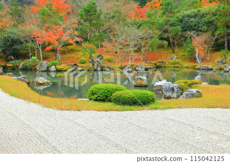 秋天的天龍寺（京都市） 115042125