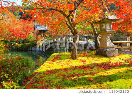 秋葉的永觀堂（京都市） 115042130