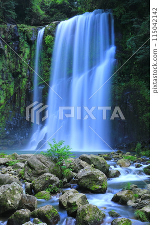 Sakura waterfall in summer (Amasemachi, Hita City, vertical composition) 115042142