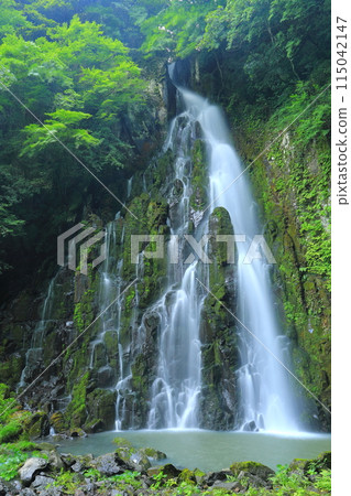 Yono Falls of fresh green (Usa City, vertical composition) 115042147