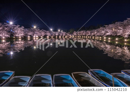 Hirosaki Cherry Blossom Festival: Cherry blossoms at night on the western moat 06 Hirosaki Cherry Blossom Festival: Cherry blossoms at night on the western moat 06 115042210