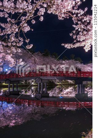 Hirosaki Cherry Blossom Festival Cherry Blossoms at Night on Shunyo Bridge 01 Hirosaki Cherry Blossom Festival Cherry Blossoms at Night on Shunyo Bridge 01 115042214
