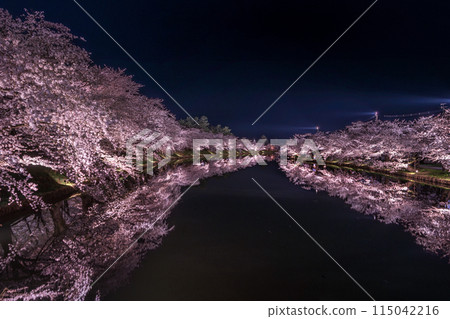 弘前櫻花節 春陽橋夜櫻 03 弘前櫻花節 春陽橋夜櫻 03 115042216