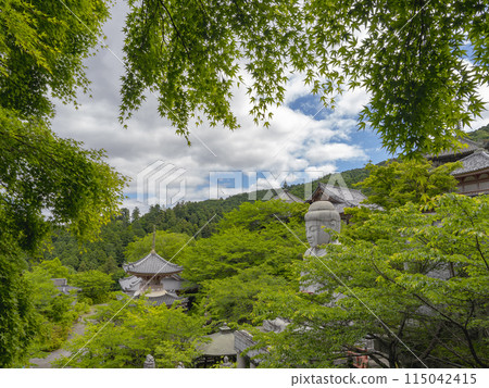 The New Green Buddha of Kosaka Temple The New Green Buddha of Kosaka Temple 115042415