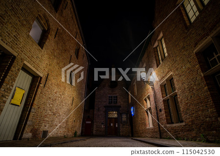 比利時布魯日城市景觀被點亮 115042530