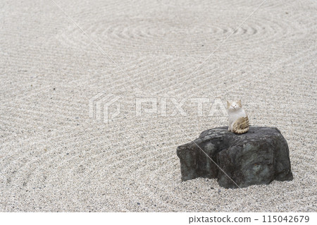 京都，聖護院門跡，在新殿前花園的枯山水中放置的貓裝飾品 115042679
