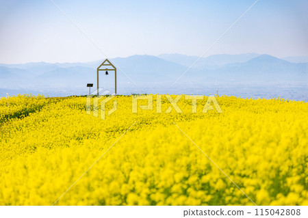Nanohakura Takahara Nanohana Farm Field Nanohakura Takahara Nanohana Farm Field 115042808